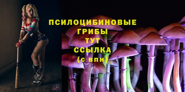 эйфоретик Армянск