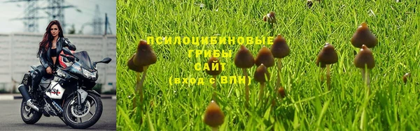 эйфоретик Армянск